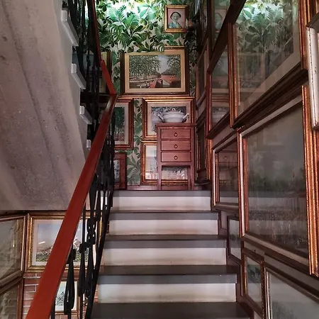 Bellavistalucca Лукка